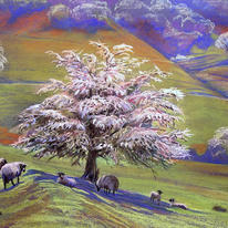 Sheep at Hole of Horcum