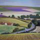 Purple Field