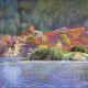 Rocky Island, Ullswater