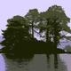Derwentwater Island
