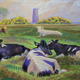 Cattle, Beverley Westwood