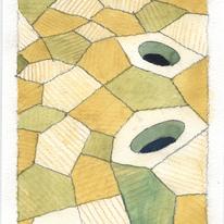 Fields & Holes