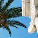 Cyprus column capital