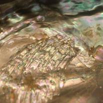 Shimmer