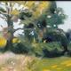 Edge of Field after Chamberlain
