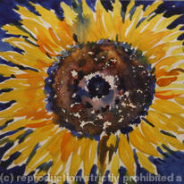 One Sunflower (2)