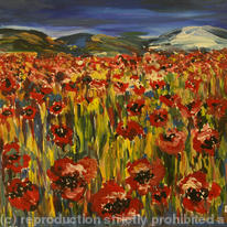 Poppy Field