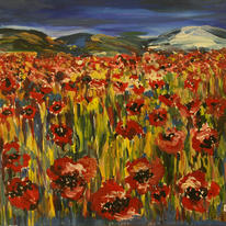 Poppy field, Malvern