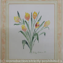Tulips
