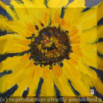 One large sunflower
