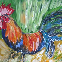 Thin cockerel