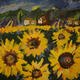 Sunflower field in Provence…
