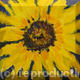 One large sunflower