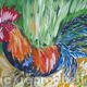 Thin cockerel