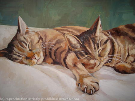 Sleeping Beauties