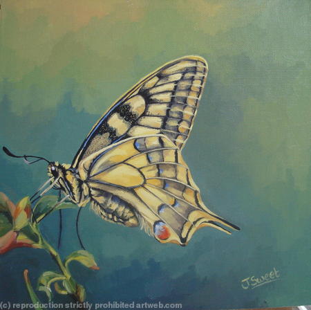 Swallowtail