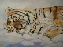 Siberian Tiger