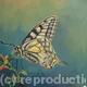 Swallowtail
