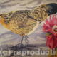 Detail from 'The Yard'