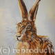 Hare