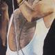 freddie