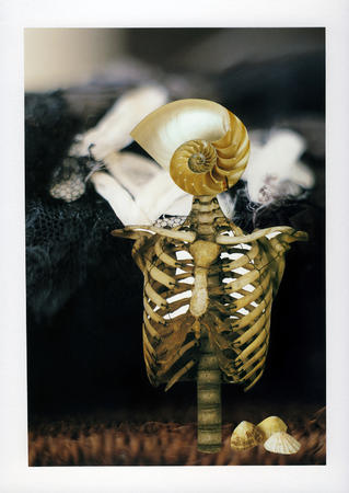 Forever IV