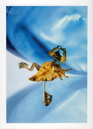 Evolution I