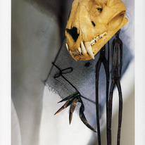 hidden Forever I