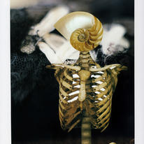 hidden Forever IV