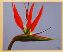 Strelitzia