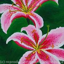 Lilies