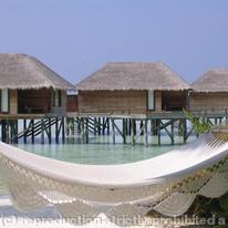 Hammock