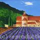 Abbaye de Senanque Provence