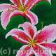Lilies