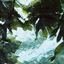 Soft Ebbing. No4.