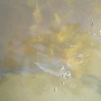 waters washed no 3