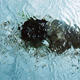 Soft Ebbing no2 | | | Soft Ebbing no2