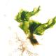 Waters Washed no2 | | | Waters Washed no2