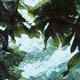 Soft Ebbing. No4. | £65 | | photograph Soft Ebbing. No4.