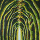 Green Lane 3 | £115 | 60 x 80cm | Oil on canvas Green Lane 3