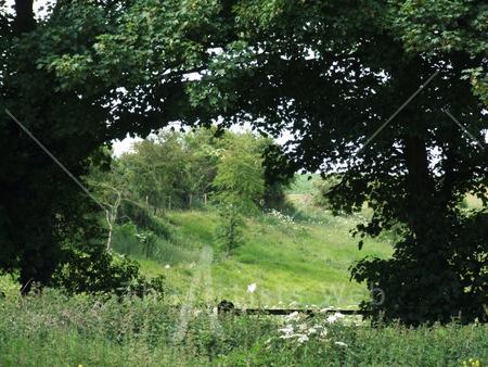 The Hole