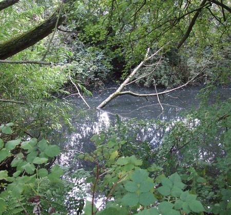 Spook Pond