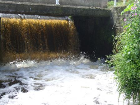 Golden Falls