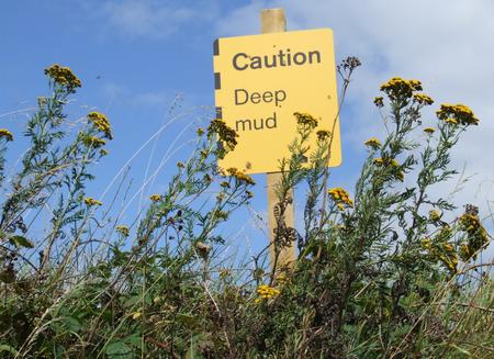 Deep Mud