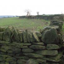 Beyond the Dry Stone Wall