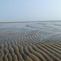 North Sea Footprints