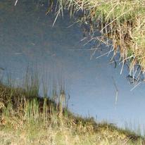 Both Sides Of The Water