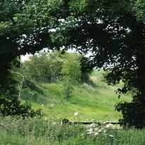 The Hole