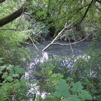 Spook Pond
