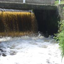 Golden Falls